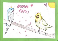 Galerie photo Galerie de cartes de vœux